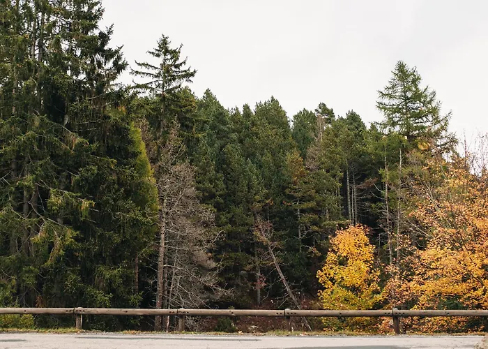 Hotel Grand L'ermitage 4*