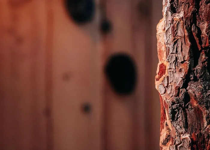 Grand L'ermitage Hotel Font-Romeu-Odeillo-Via